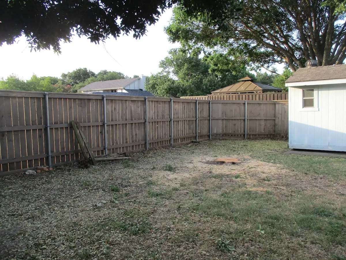 Cleared yard after professional tree removal in New England