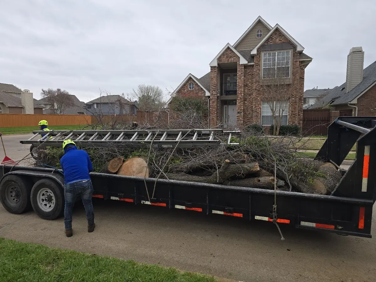 Expert Lot Clearing with proper safety equipment in New England